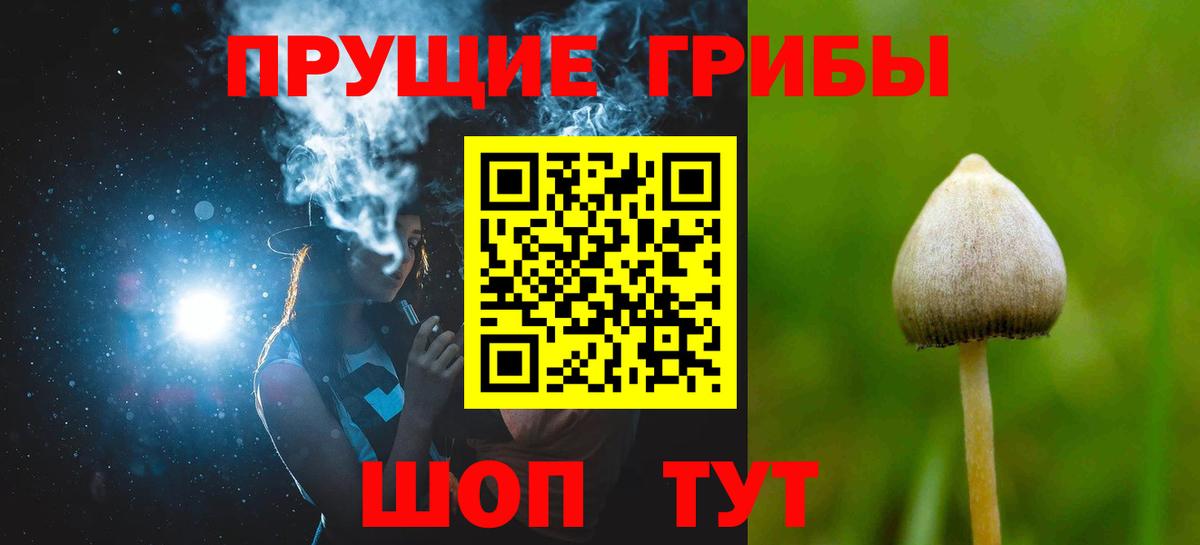 Псилоцибиновые грибы Psilocybine cubensis  Вход с VPN  Новошахтинск 